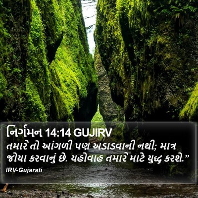 નિર્ગમન 14:14 GUJIRV Bible Verse Image