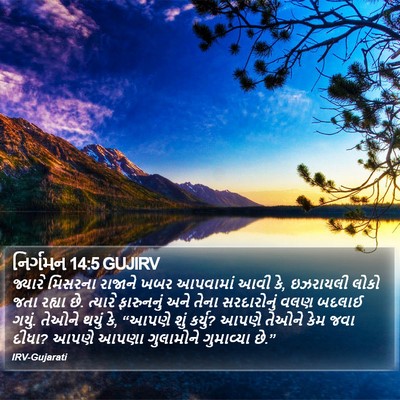 નિર્ગમન 14:5 GUJIRV Bible Verse Image