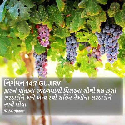 નિર્ગમન 14:7 GUJIRV Bible Verse Image
