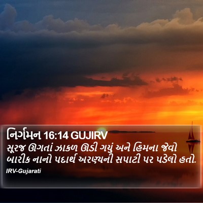 નિર્ગમન 16:14 GUJIRV Bible Verse Image