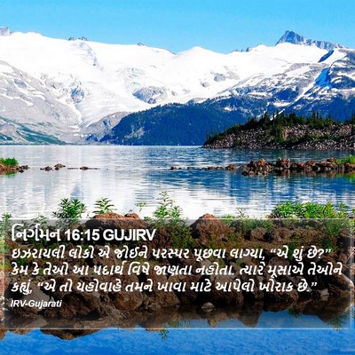 નિર્ગમન 16:15 GUJIRV Bible Verse Image
