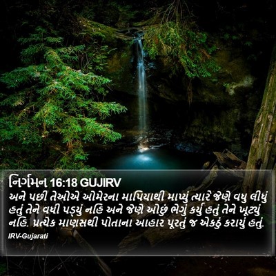 નિર્ગમન 16:18 GUJIRV Bible Verse Image