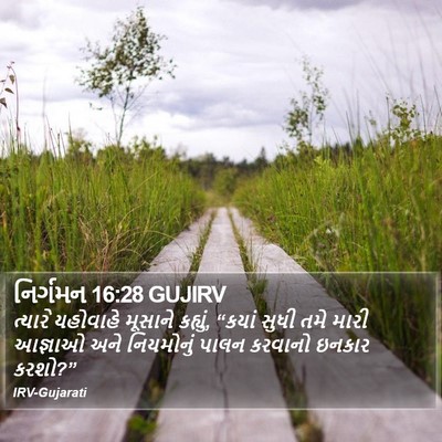 નિર્ગમન 16:28 GUJIRV Bible Verse Image
