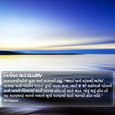 નિર્ગમન 16:3 GUJIRV Bible Verse Image