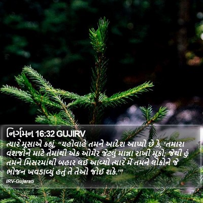 નિર્ગમન 16:32 GUJIRV Bible Verse Image
