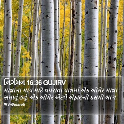 નિર્ગમન 16:36 GUJIRV Bible Verse Image