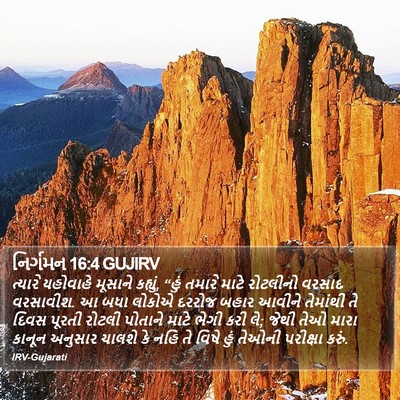 નિર્ગમન 16:4 GUJIRV Bible Verse Image