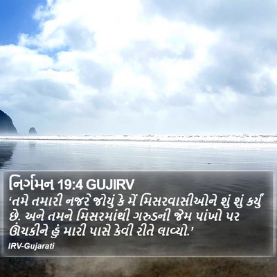 નિર્ગમન 19:4 GUJIRV Bible Verse Image