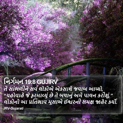 નિર્ગમન 19:8 GUJIRV Bible Verse Image