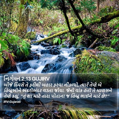 નિર્ગમન 2:13 GUJIRV Bible Verse Image