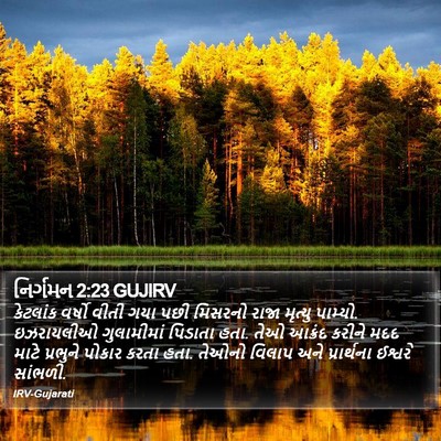 નિર્ગમન 2:23 GUJIRV Bible Verse Image