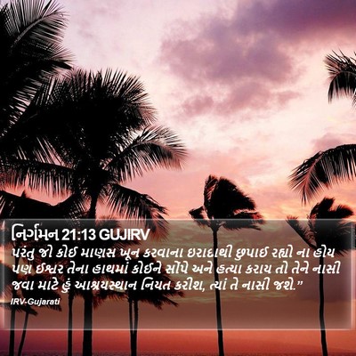 નિર્ગમન 21:13 GUJIRV Bible Verse Image