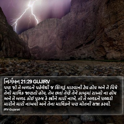 નિર્ગમન 21:29 GUJIRV Bible Verse Image