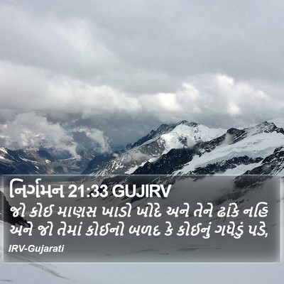 નિર્ગમન 21:33 GUJIRV Bible Verse Image