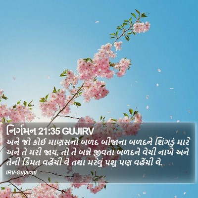 નિર્ગમન 21:35 GUJIRV Bible Verse Image