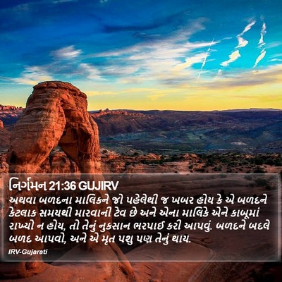 નિર્ગમન 21:36 GUJIRV Bible Verse Image