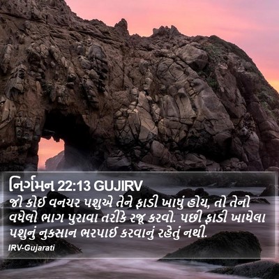 નિર્ગમન 22:13 GUJIRV Bible Verse Image