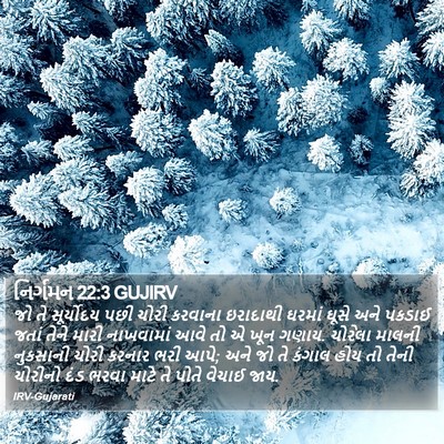નિર્ગમન 22:3 GUJIRV Bible Verse Image
