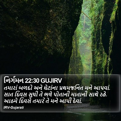 નિર્ગમન 22:30 GUJIRV Bible Verse Image