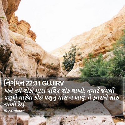 નિર્ગમન 22:31 GUJIRV Bible Verse Image