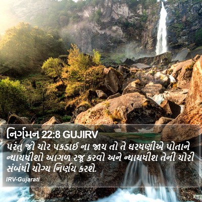 નિર્ગમન 22:8 GUJIRV Bible Verse Image
