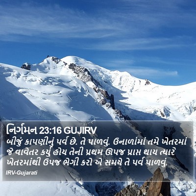 નિર્ગમન 23:16 GUJIRV Bible Verse Image