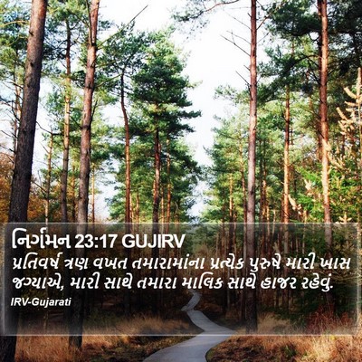 નિર્ગમન 23:17 GUJIRV Bible Verse Image