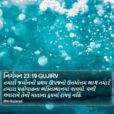 નિર્ગમન 23:19 GUJIRV Bible Verse Image