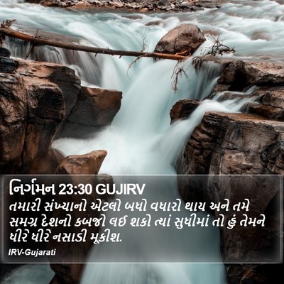 નિર્ગમન 23:30 GUJIRV Bible Verse Image