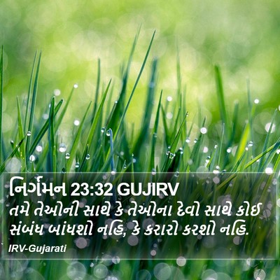 નિર્ગમન 23:32 GUJIRV Bible Verse Image