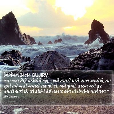 નિર્ગમન 24:14 GUJIRV Bible Verse Image