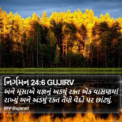 નિર્ગમન 24:6 GUJIRV Bible Verse Image