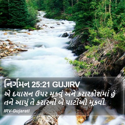 નિર્ગમન 25:21 GUJIRV Bible Verse Image