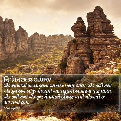 નિર્ગમન 25:33 GUJIRV Bible Verse Image
