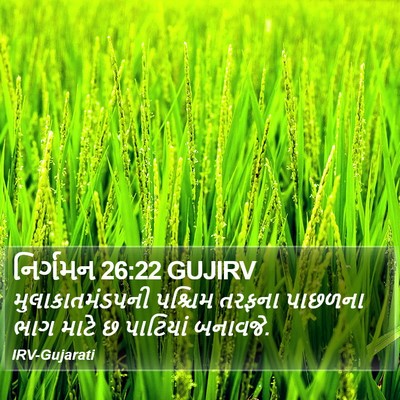 નિર્ગમન 26:22 GUJIRV Bible Verse Image