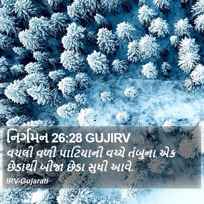નિર્ગમન 26:28 GUJIRV Bible Verse Image