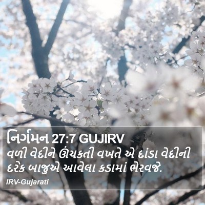 નિર્ગમન 27:7 GUJIRV Bible Verse Image
