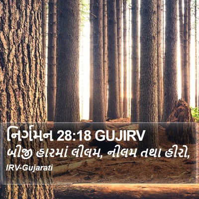 નિર્ગમન 28:18 GUJIRV Bible Verse Image