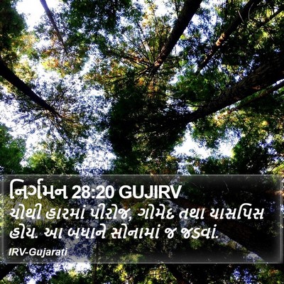 નિર્ગમન 28:20 GUJIRV Bible Verse Image