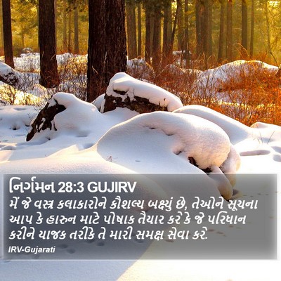 નિર્ગમન 28:3 GUJIRV Bible Verse Image