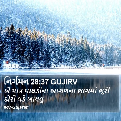 નિર્ગમન 28:37 GUJIRV Bible Verse Image