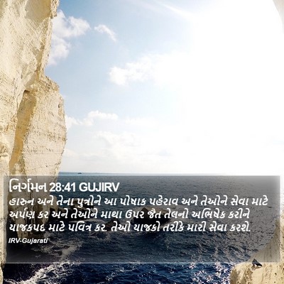નિર્ગમન 28:41 GUJIRV Bible Verse Image