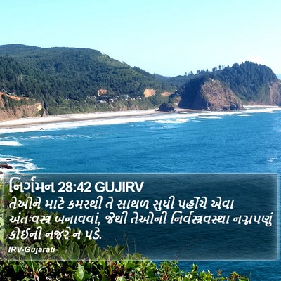 નિર્ગમન 28:42 GUJIRV Bible Verse Image
