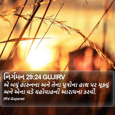 નિર્ગમન 29:24 GUJIRV Bible Verse Image
