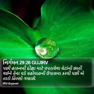 નિર્ગમન 29:26 GUJIRV Bible Verse Image