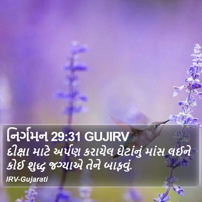 નિર્ગમન 29:31 GUJIRV Bible Verse Image