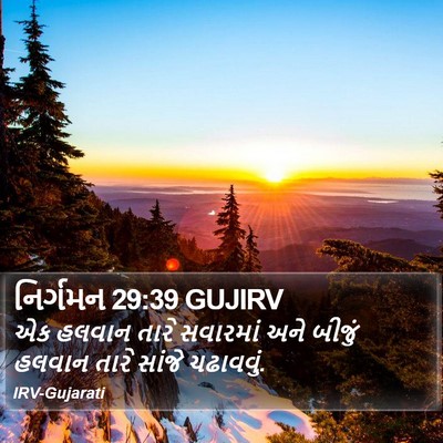 નિર્ગમન 29:39 GUJIRV Bible Verse Image