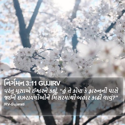 નિર્ગમન 3:11 GUJIRV Bible Verse Image