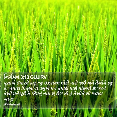 નિર્ગમન 3:13 GUJIRV Bible Verse Image