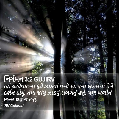 નિર્ગમન 3:2 GUJIRV Bible Verse Image
